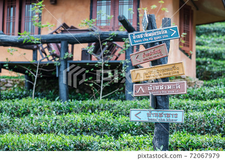 Closeup direction board of lee wine rak Thai resort against beautiful Tea garden background in Ban Rak Thai village. Mae Hong Son, Thailand, 22 October 2020 Closeup direction board of lee wine rak Thai resort against beautiful Tea garden background in Ban Rak Thai village. Mae Hong Son, Thailand, 22 October 2020 72067979