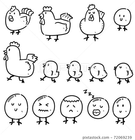vector set of chicken and egg 72069239