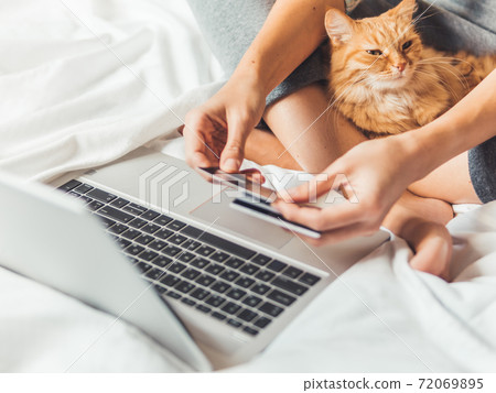 Cute ginger cat and woman in bed with laptop. Woman is making online order and paying with credit cards. Online shopping. Morning bedtime with fluffy pet. Cute ginger cat and woman in bed with laptop. Woman is making online order and paying with credit cards. Online shopping. Morning bedtime with fluffy pet. 72069895