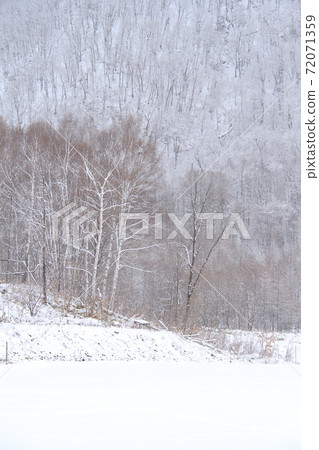 Snowy April in Hokkaido, satoyama with remaining snow, the change of season from winter to spring 72071359