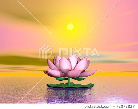 Lotus flower by sunset - 3D render 72072827
