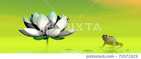 Frog and lotus flower - 3D render Frog and lotus flower - 3D render 72072829