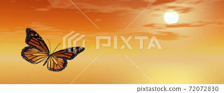 Monarch butterfly - 3D render Monarch butterfly - 3D render 72072830