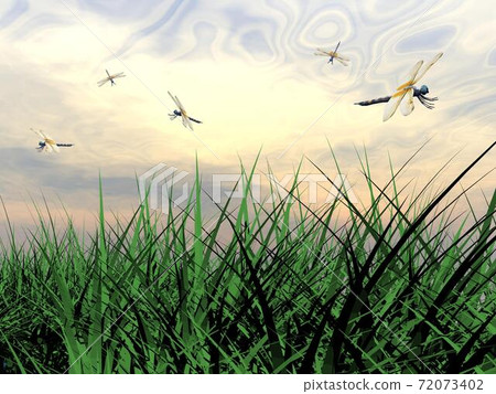 Dancing dragonflies Dancing dragonflies 72073402
