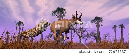 Hunting scene in the nature Hunting scene in the nature 72073587