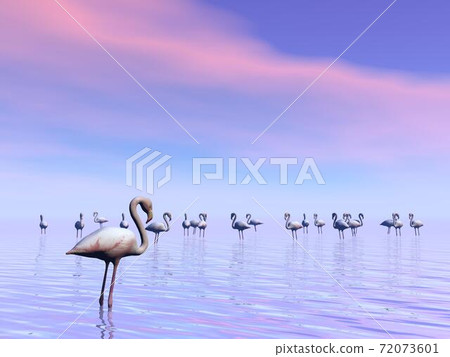 Flock of flamingos - 3D render 72073601