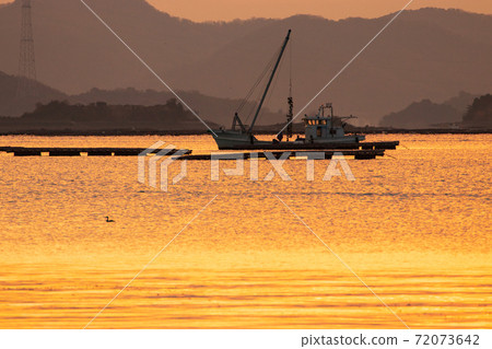 Hiroshima Prefecture: Scenery of sunrise oyster fishing Hiroshima Prefecture: Scenery of sunrise oyster fishing 72073642