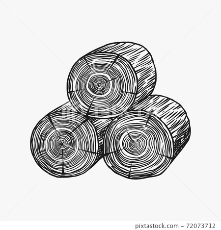 Wood or logs. Piece of Tree. Plank or lumber and Cut, Firewood in vintage style. Vector illusion for Wood or logs. Piece of Tree. Plank or lumber and Cut, Firewood in vintage style. Vector illusion for 72073712