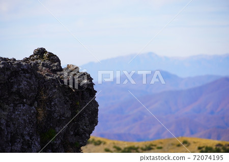 Spotted nutcracker walking on volcanic rocks Spotted nutcracker walking on volcanic rocks 72074195