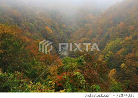 秋天葉子的Nishiki湖在岩手縣Nishi Waga-cho 秋天葉子的Nishiki湖在岩手縣Nishi Waga-cho 72074335