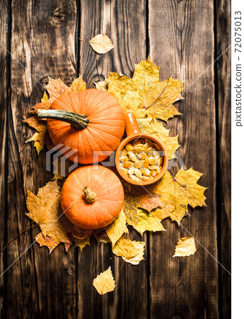 Pumpkin seeds with the maple leaves. Pumpkin seeds with the maple leaves. 72075013