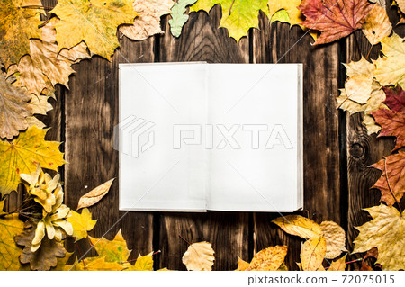 Old books and autumn leaves. Old books and autumn leaves. 72075015