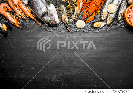 Various marine shrimp, shellfish and lobsters at the fishing net. Various marine shrimp, shellfish and lobsters at the fishing net. 72075075