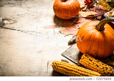 Autumn fruits and vegetables. Autumn fruits and vegetables. 72075609