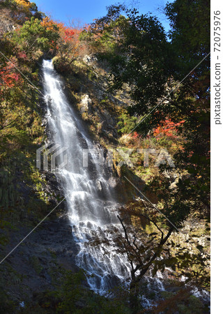 (Hyogo Prefecture) Tentaki and autumn leaves Scenic spots of waterfalls and forests (Hyogo Prefecture) Tentaki and autumn leaves Scenic spots of waterfalls and forests 72075976