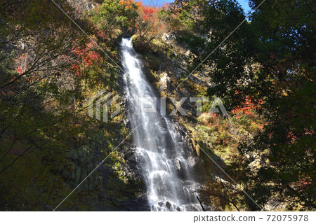 (兵庫縣)Amataki和秋葉,瀑布和森林的風景點 (兵庫縣)Amataki和秋葉,瀑布和森林的風景點 72075978