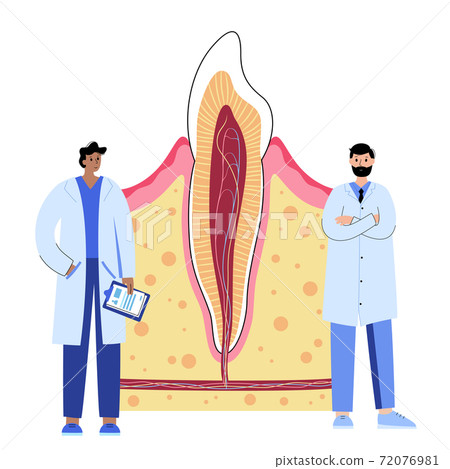 Dental clinic concept Dental clinic concept 72076981