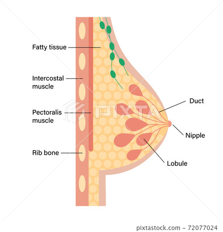 Breast disease concept Breast disease concept 72077024