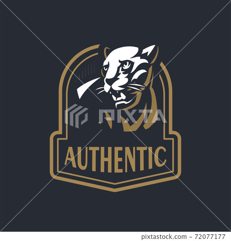 The angry panther The angry panther 72077177