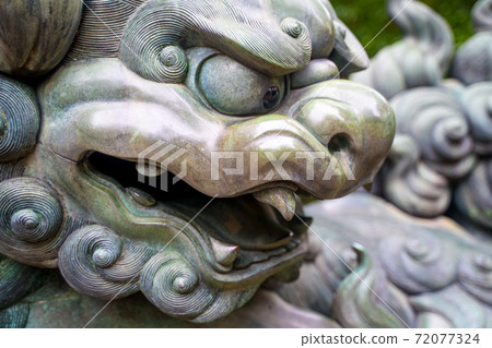 Guardian dog close-up 72077324