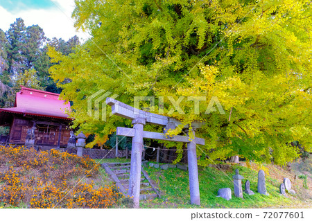 Soda Shrine and Daicho 72077601