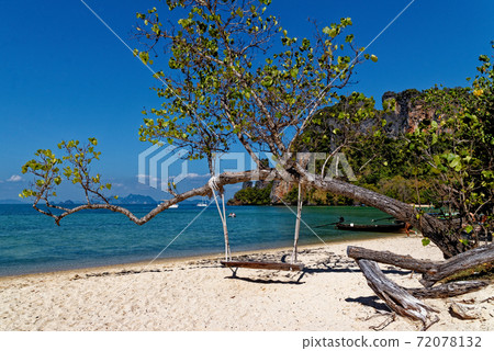 Wooden swing hang under tree at the beach Wooden swing hang under tree at the beach 72078132