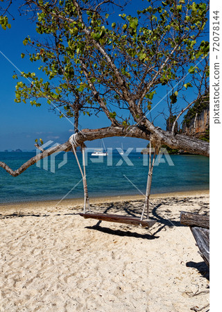 Wooden swing hang under tree at the beach 72078144