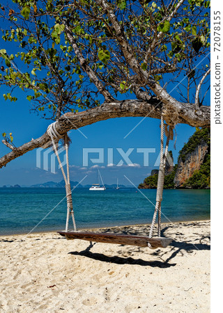 Wooden swing hang under tree at the beach 72078155