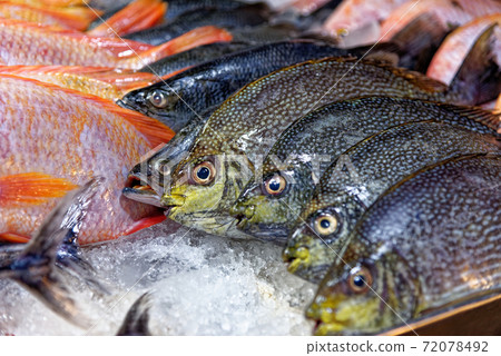 Close up of sea bass on the thai street market in Thailand Close up of sea bass on the thai street market in Thailand 72078492