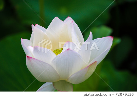 Takada Park Takada Park 72079136