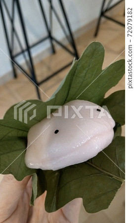 mochi axolotl