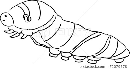 The larva of the clover 72079578