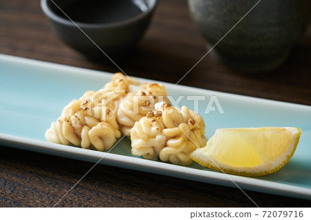 烤樺木 72079716