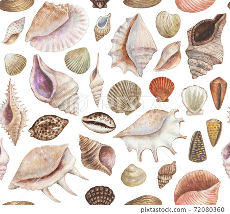 Seamless pattern with sea shells and conchs. Watercolor painting.  72080360