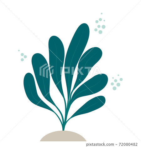 海藻的插圖 72080482
