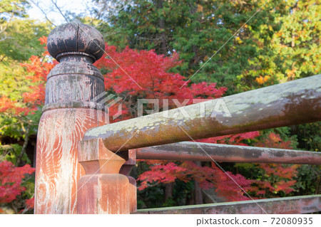 Autumn Kobe, Taisanji, Mie Tower and Autumn Leaves 72080935