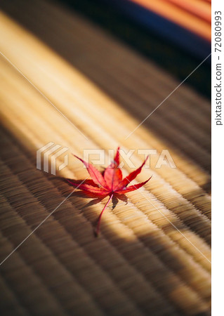 Autumn leaves falling on the tatami mats of the former Chikurinin 72080993
