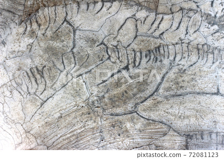 Aged cracked concrete stone plaster wall background and texture style Aged cracked concrete stone plaster wall background and texture style 72081123
