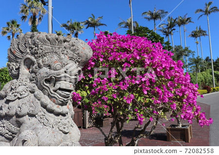 Okinawa bougainvillea and stone statue Okinawa bougainvillea and stone statue 72082558