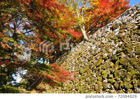 Autumn leaves of Takatori Castle Ruins 72084829