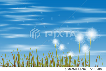 Dandelion in the meadow with cloud on the blue sky in winter background 72085086