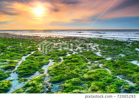 Stunning mossy beach and beautiful sunset near Etretat,Normandy,France Stunning mossy beach and beautiful sunset near Etretat,Normandy,France 72085293