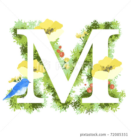 英文字體M帶有時髦花朵和藍鳥的插圖 72085331