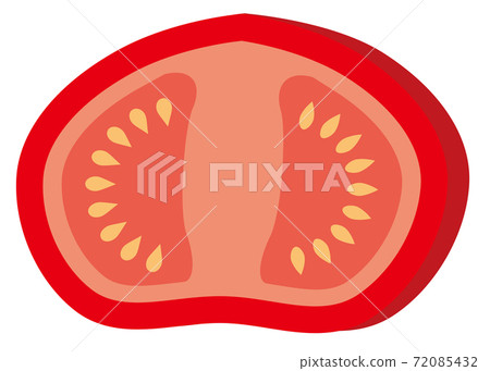 Simple illustration of tomato cross section / white background 72085432