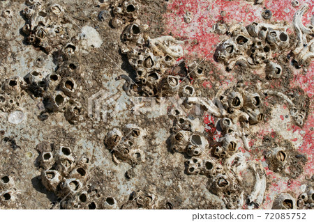 富士通附有浮標 72085752