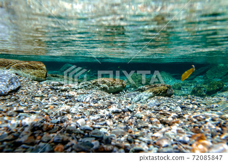 高知縣二淀川町安水穀水下 72085847