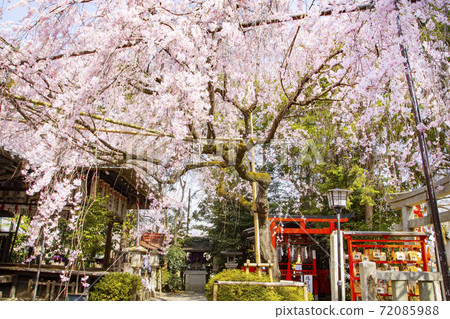 Watanabe Tenman-gu 72085988