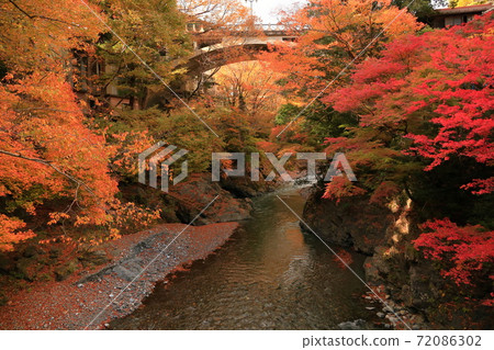Autumn leaves in the Hikawa Valley 72086302
