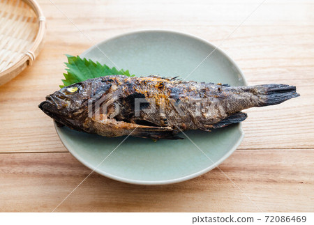 Grilled fish Gaya grilled with salt 72086469