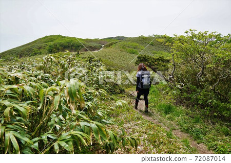 沿著野鄉白山的山脊行走的登山者 沿著野鄉白山的山脊行走的登山者 72087014